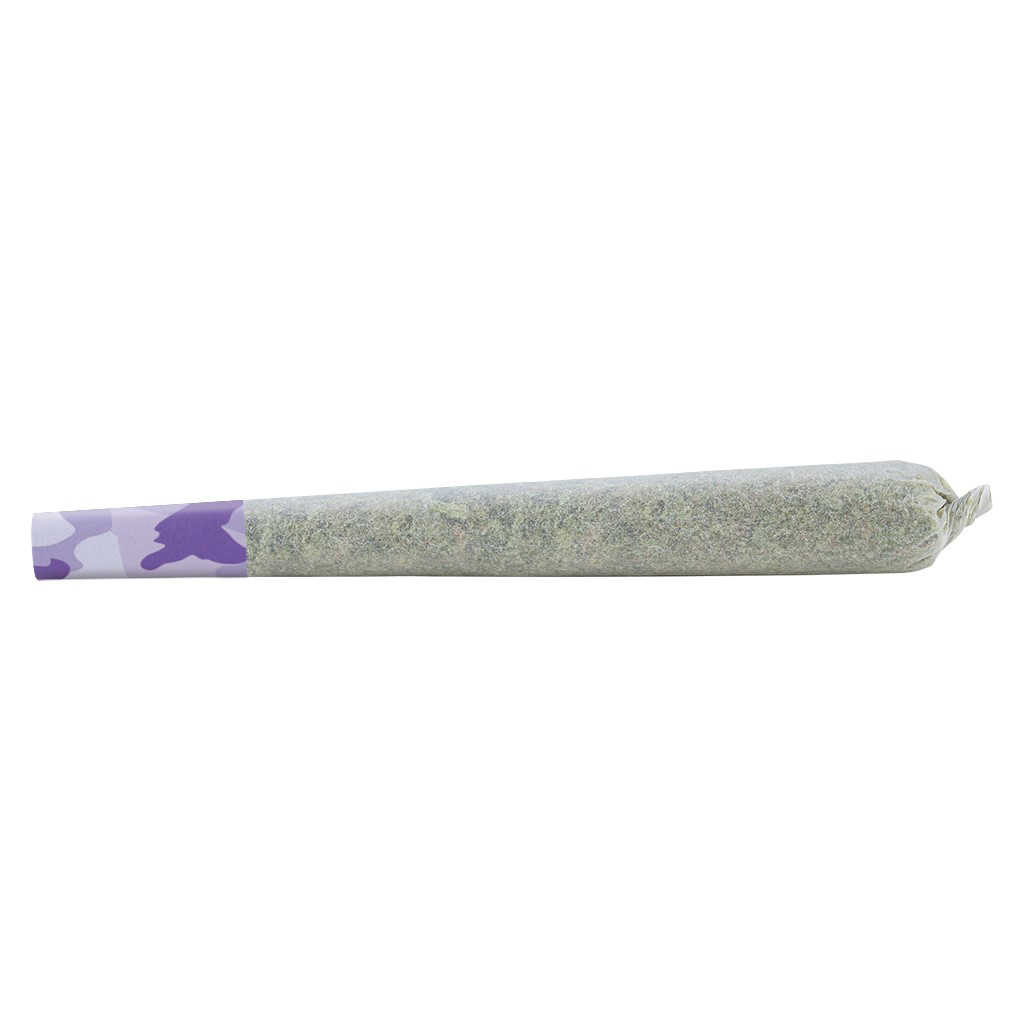 SHRED - Dessert Storm Pre-Roll - Blend - 1g
