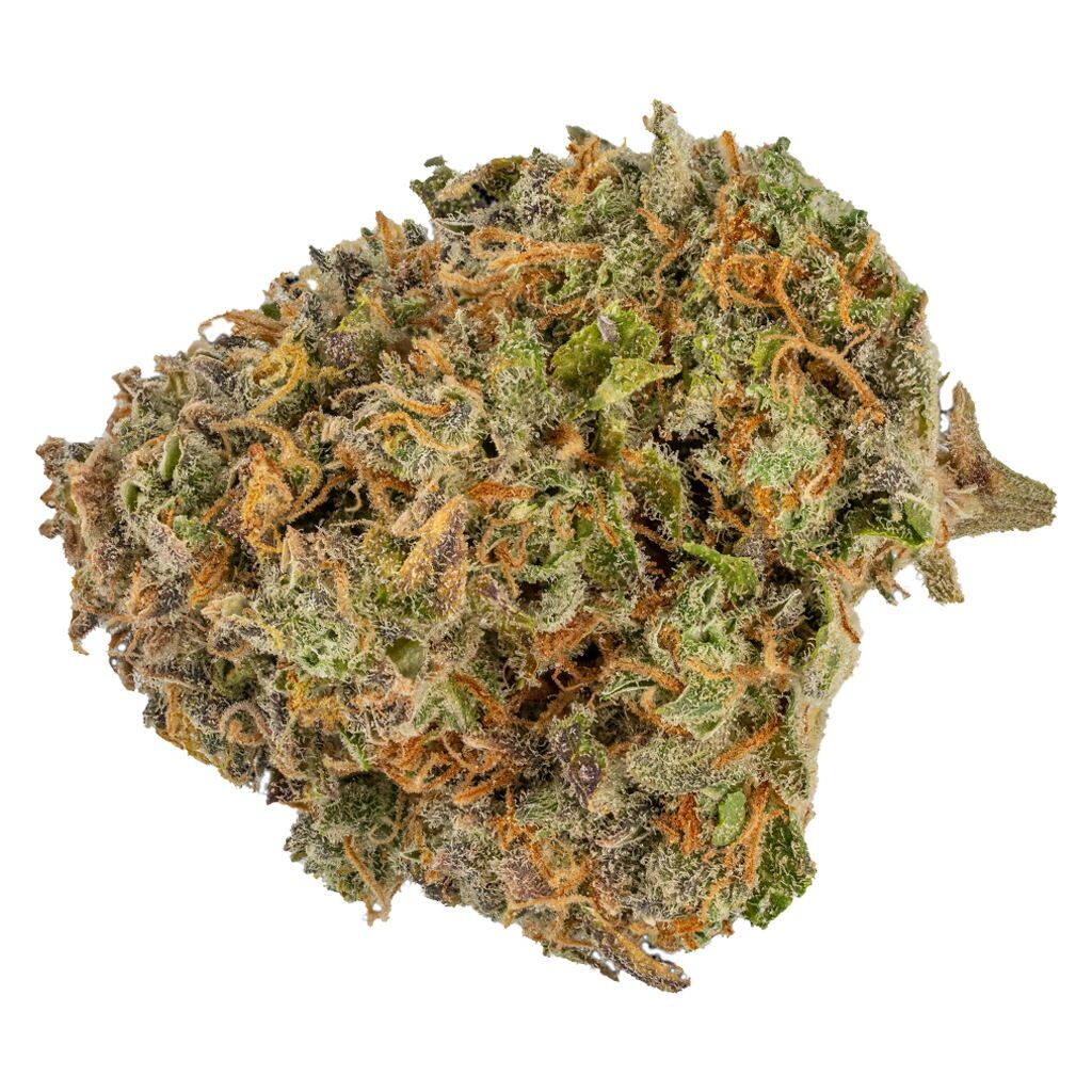 Muskoka Grown - Blue Gorilla