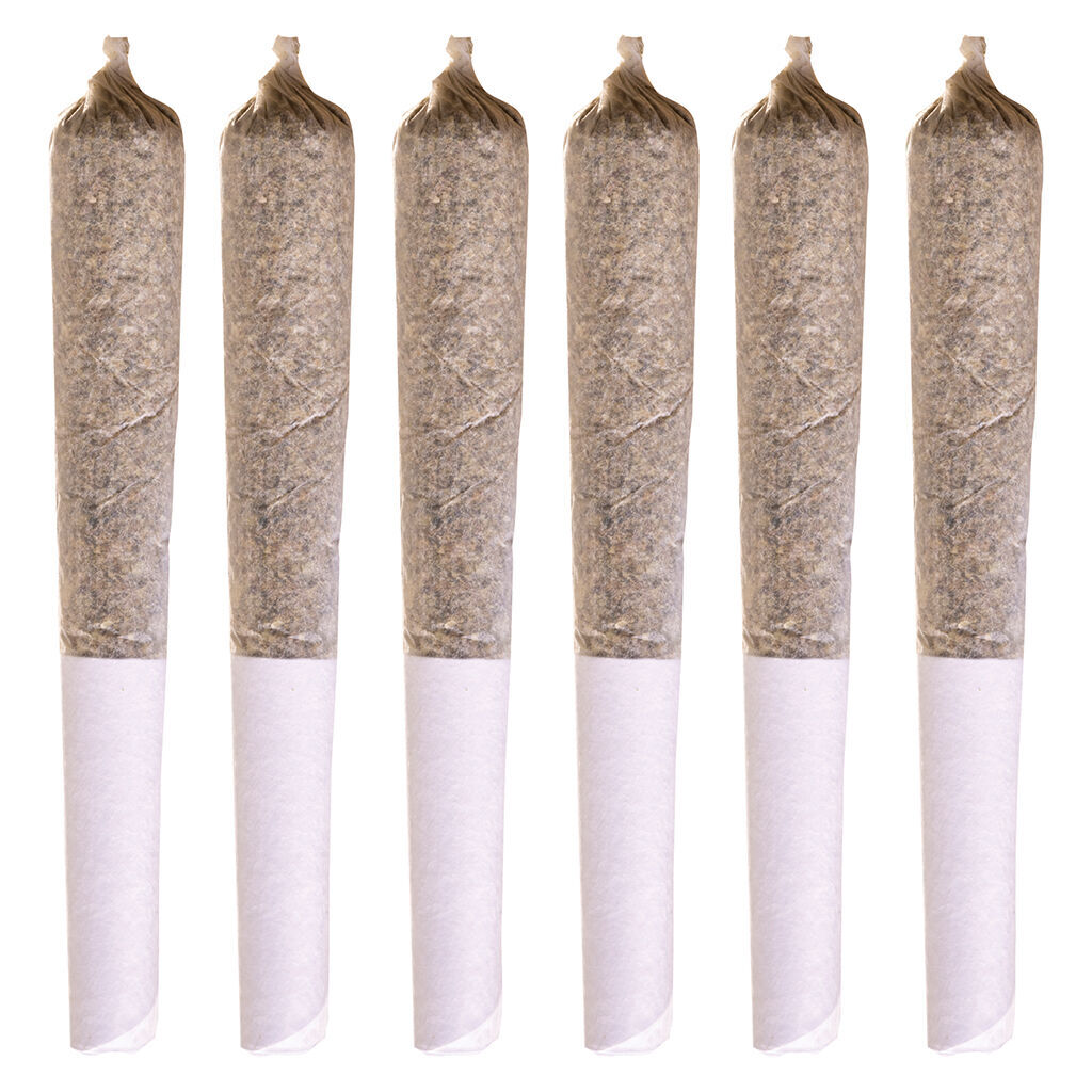 Station House - Coast To Coast Series Pre-Roll - Indica - 6x0.5g