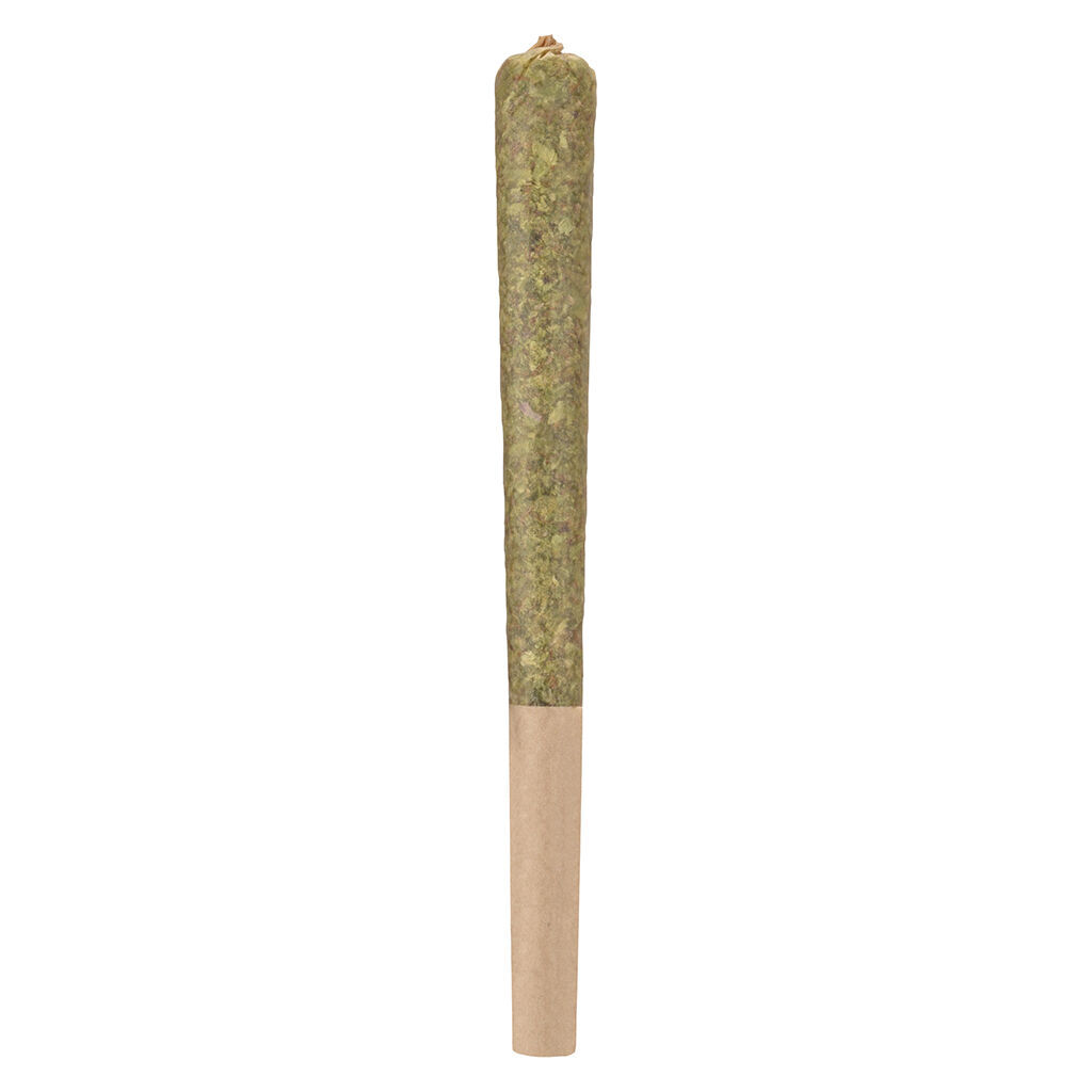 Woody Nelson - Rocketeer Infused Pre-Roll - Hybrid - 1x1g