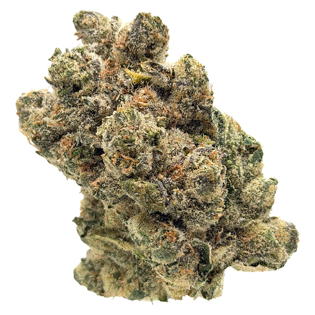 The Collection by Origine Nature - Clockwork Orange
