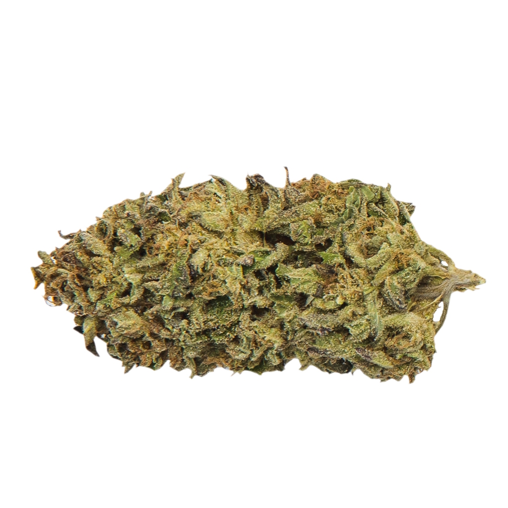Coterie - Mendo Breath