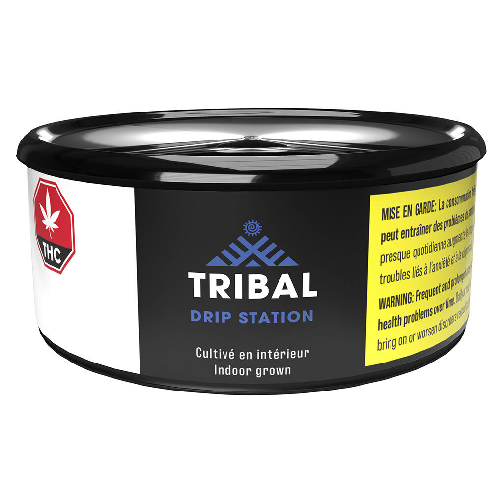 Tribal - Drip station