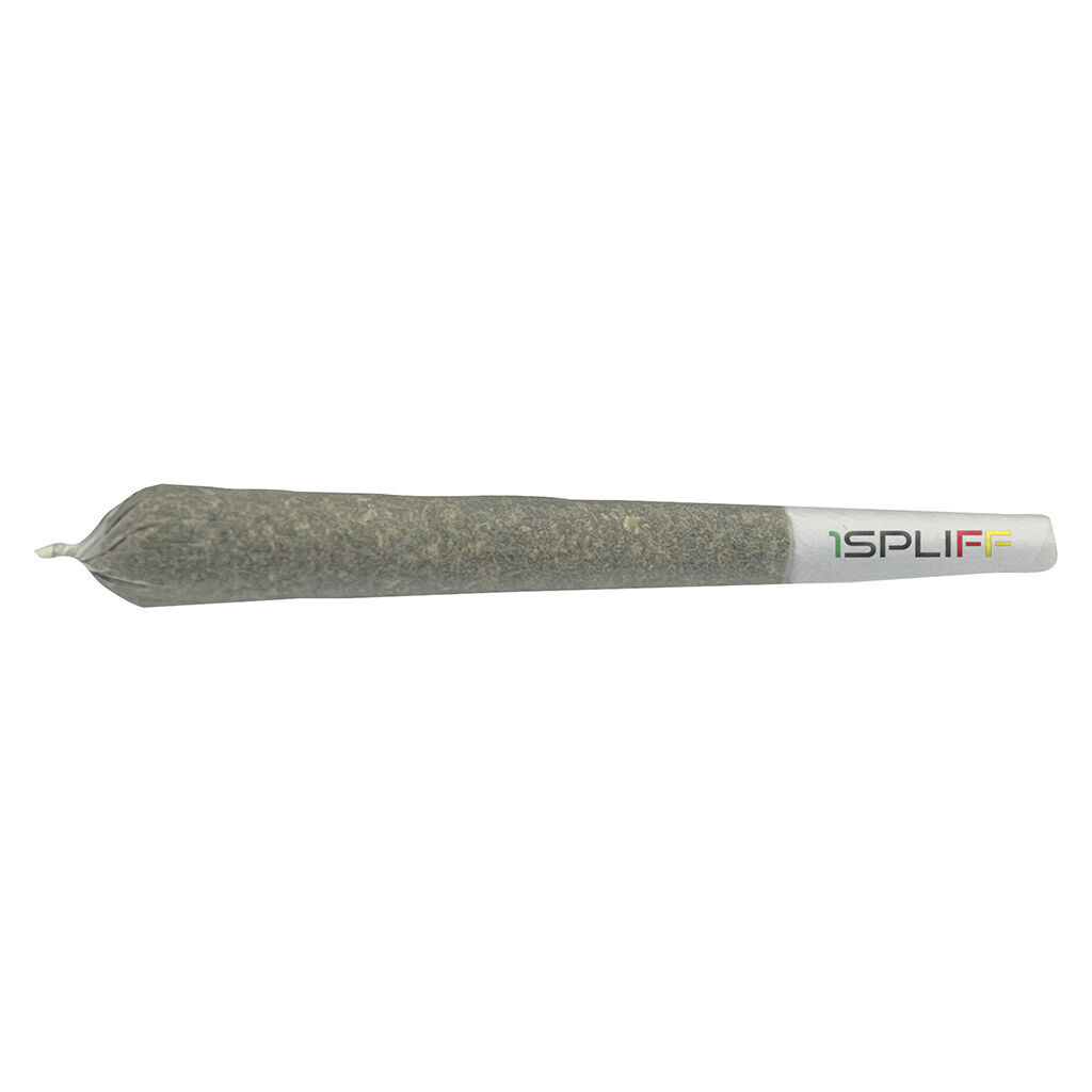1Spliff - Biscotti Pre-roll - Hybrid - 2x1g