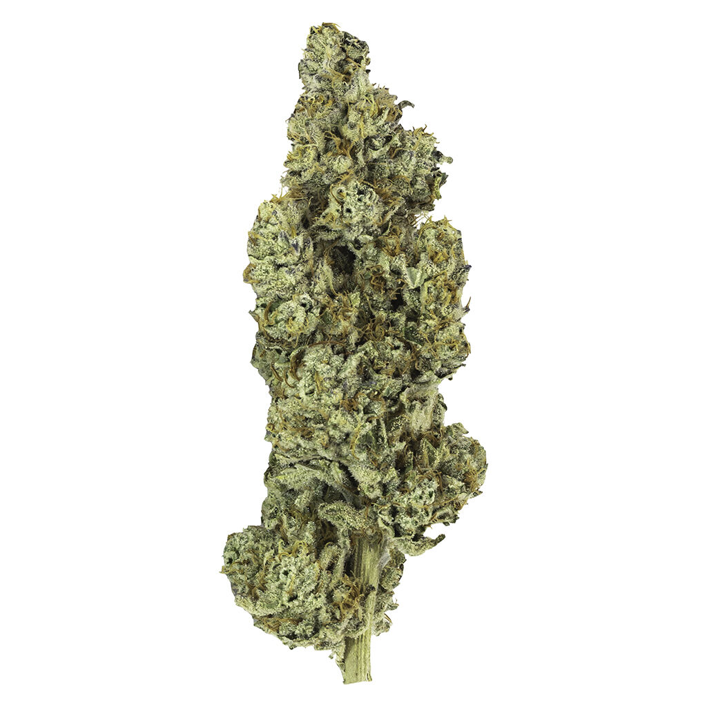 Concept Herbo Garlic Chem - Garlic Chem