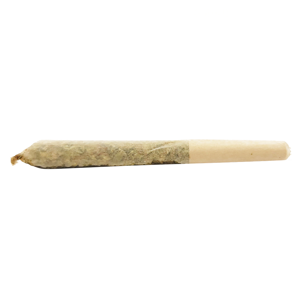 Dab Bods - Blueberry Resin Infused Pre-Roll - Hybrid - 3x0.5g