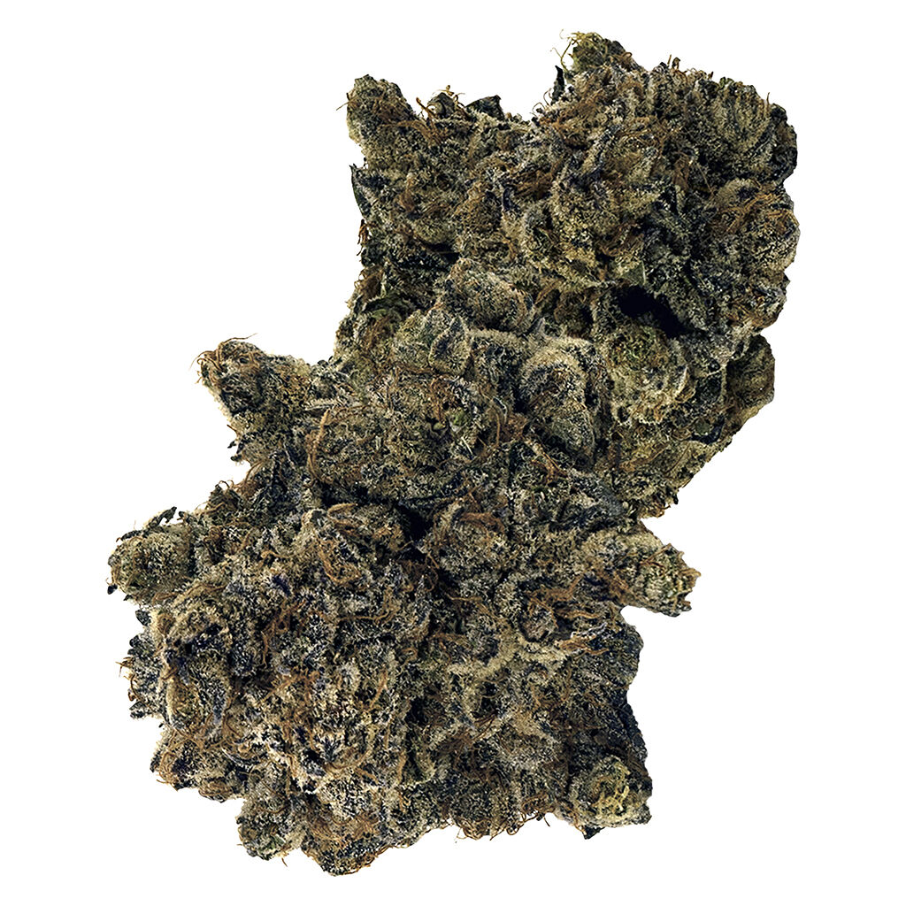 DOJA - OG Deluxe Top Colas