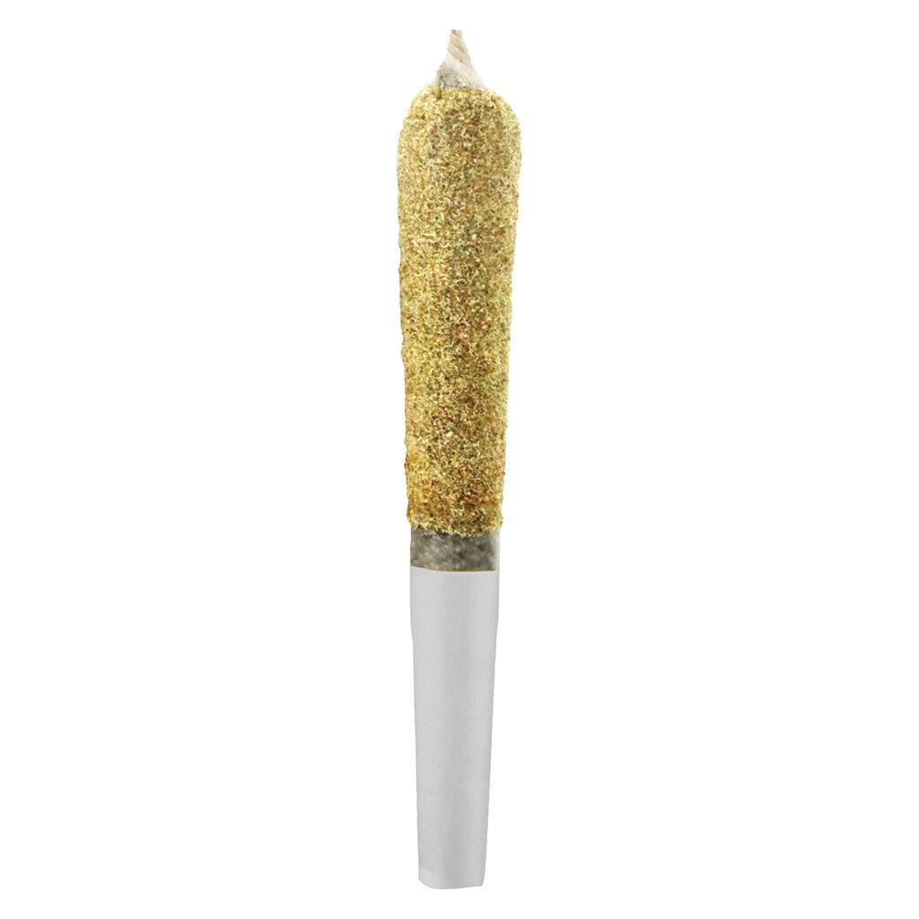 Boxhot - Dusties - Rocket Fuel Kief Coated Infused Pre-Roll - Hybrid - 3x0.5g