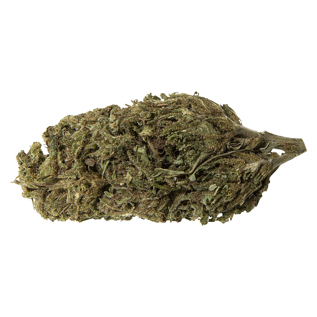Abide - Lemon Sapphire