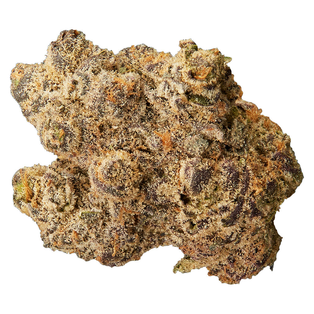 Qwest - Grape Cream Cake Craft Whole Flower