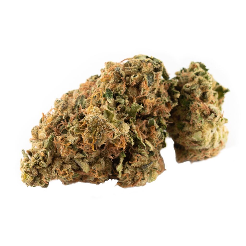 Fireside - Sensi Star