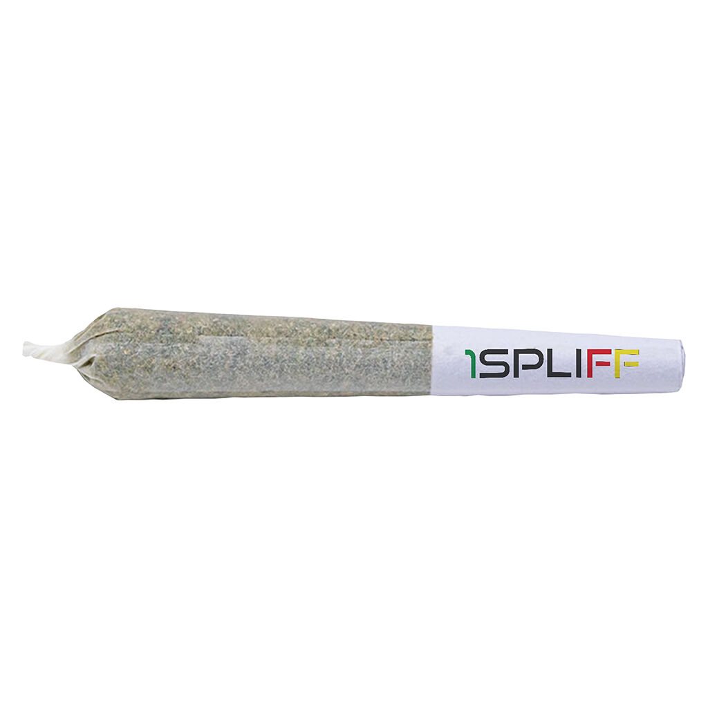 1Spliff - Orange Rntz Pre-Roll 7x0.5g - 1Spliff - Orange Rntz Pre-Roll - Hybrid - 7x0.5g