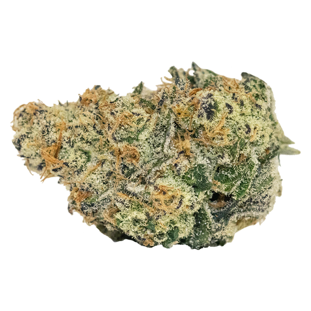 Carmel - Drew's Pheno