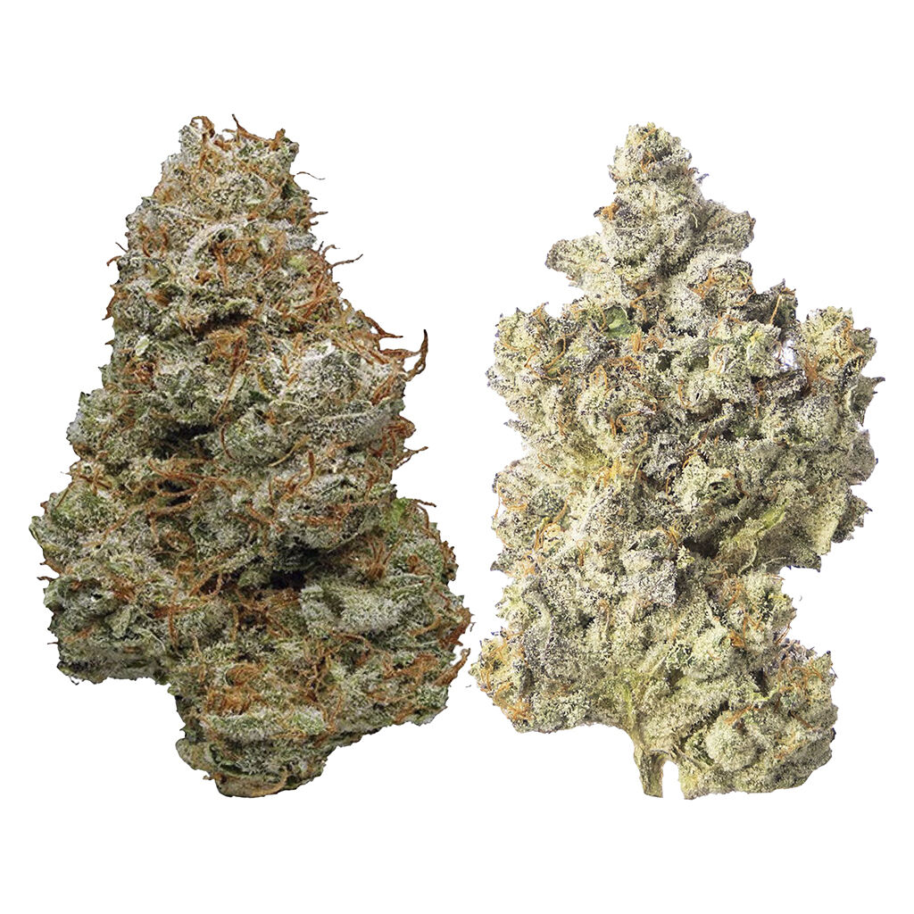 Days Cannabis - MOTOWN MONDAY - INDICA