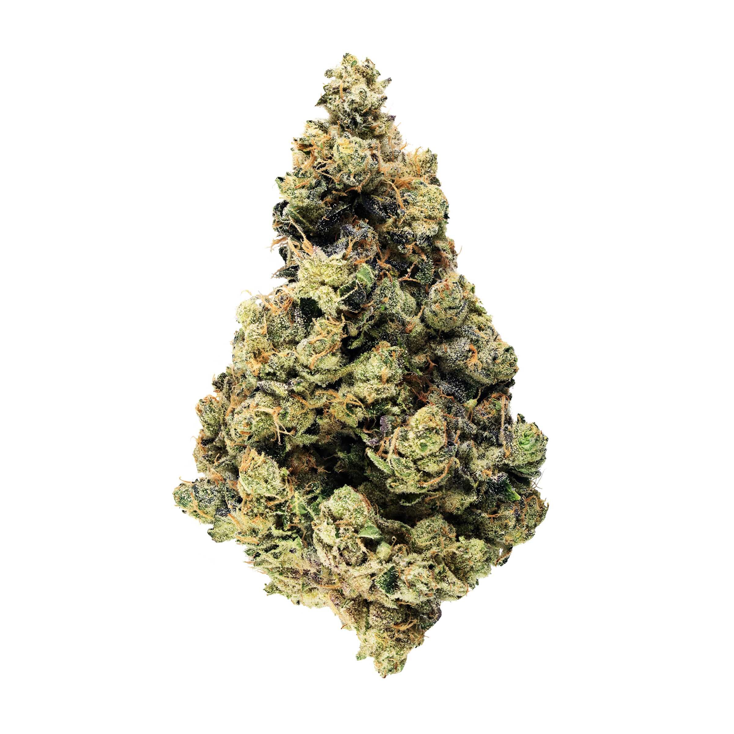 Broken Coast - Ruxton