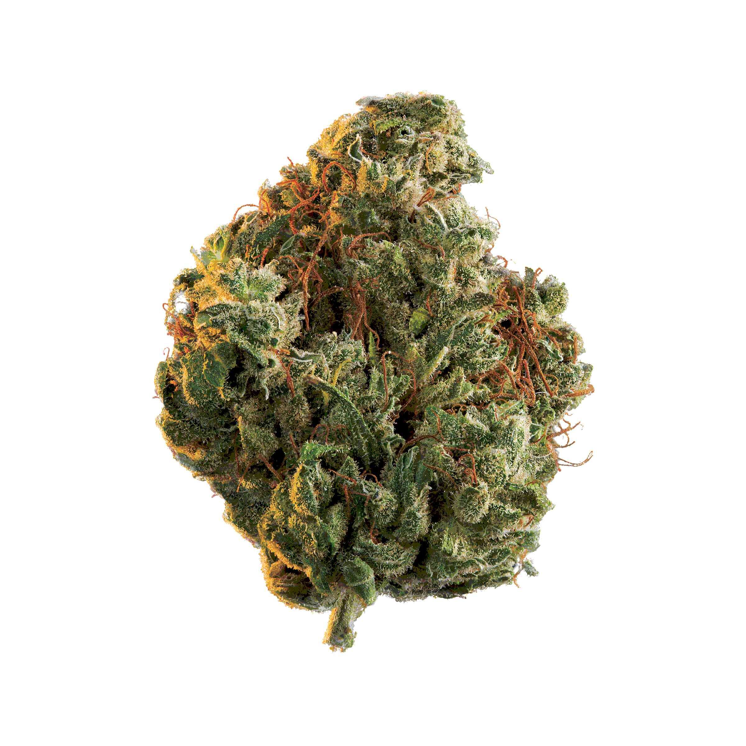 Edison Cannabis Co - Rio Bravo
