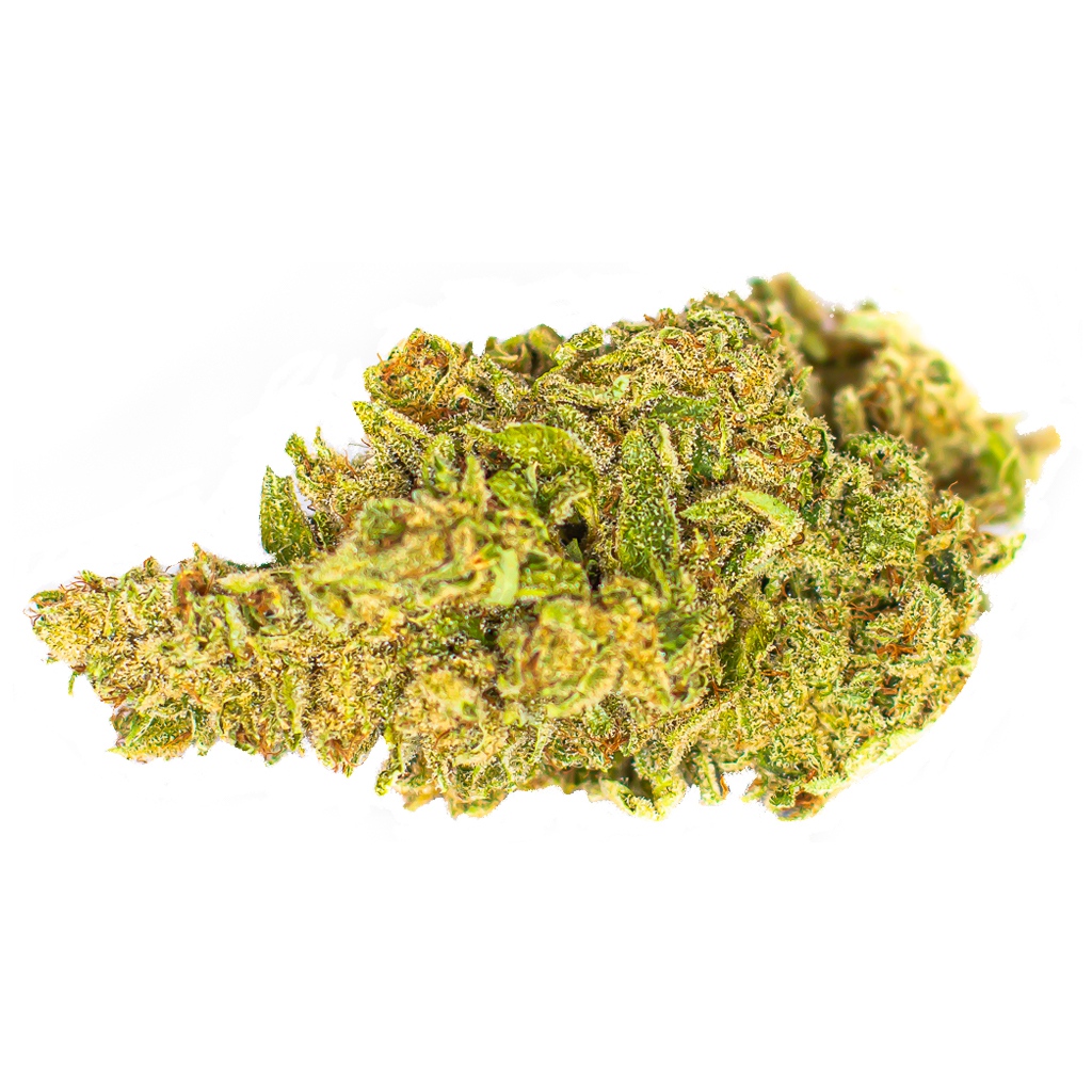 Color Cannabis - White Shark