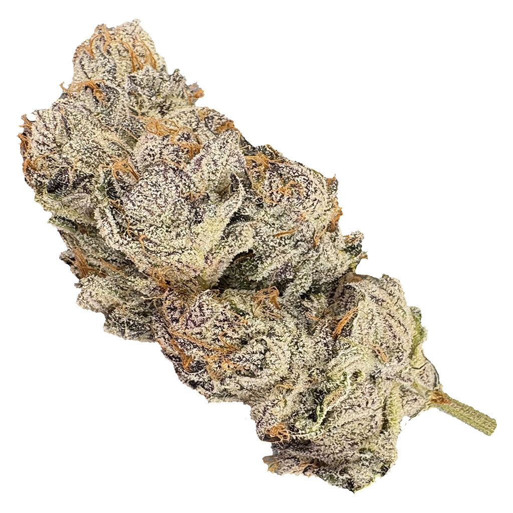 True Fire - Pacific Hammer