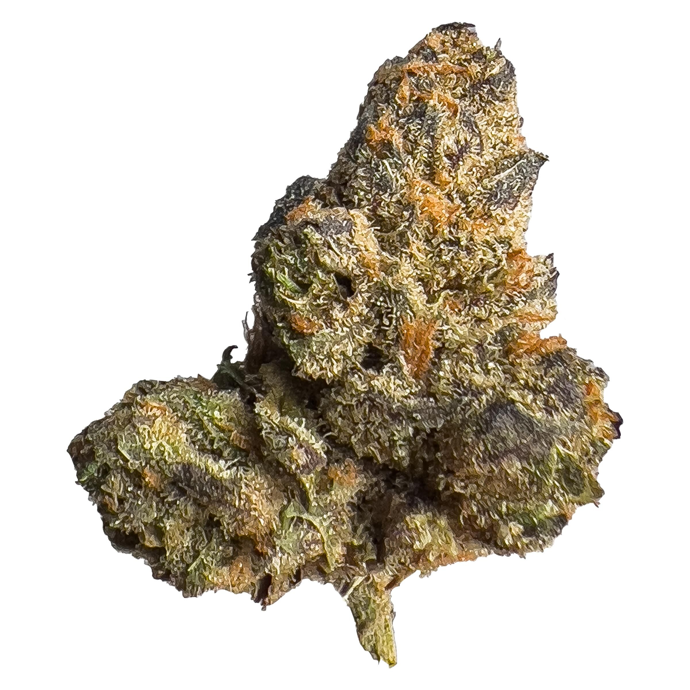 Hot Box - Secret Stash
