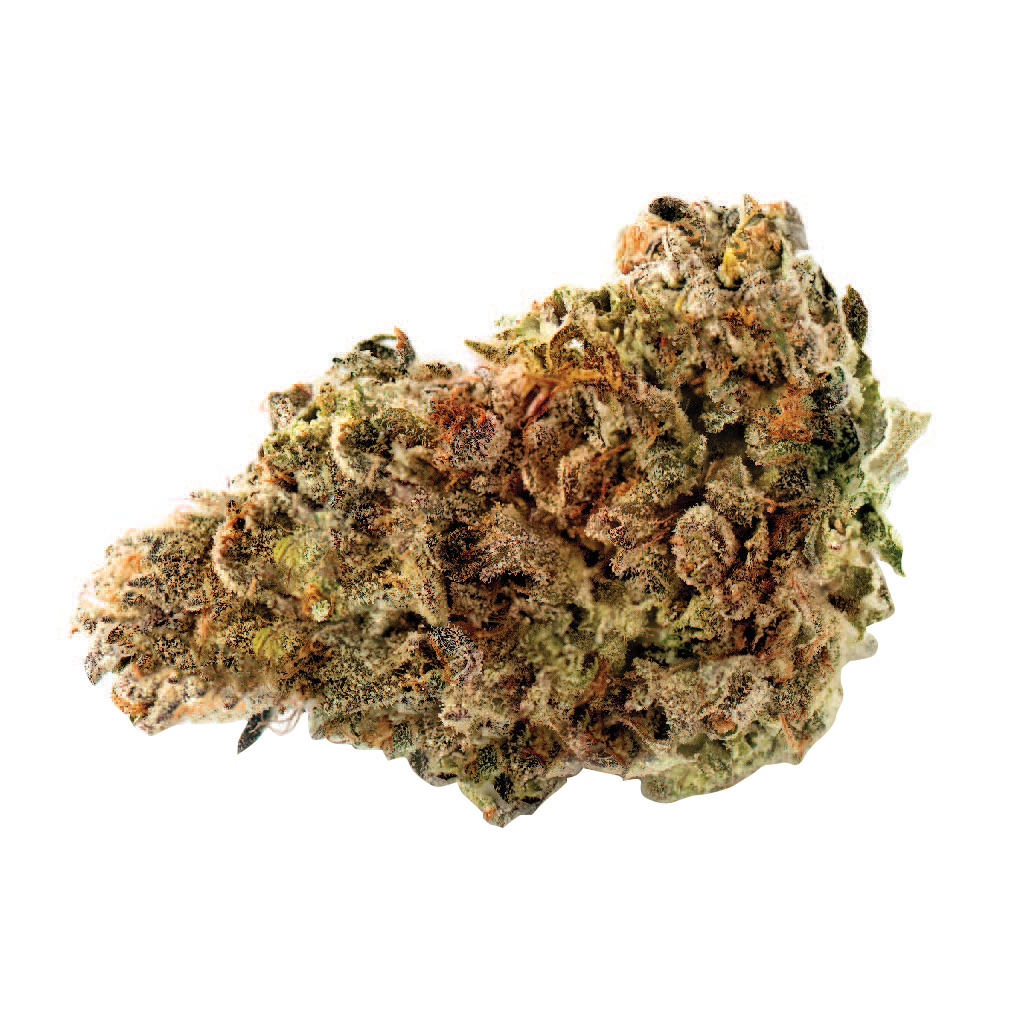 Lowbanks Grow - Cherry Bomb Gelato