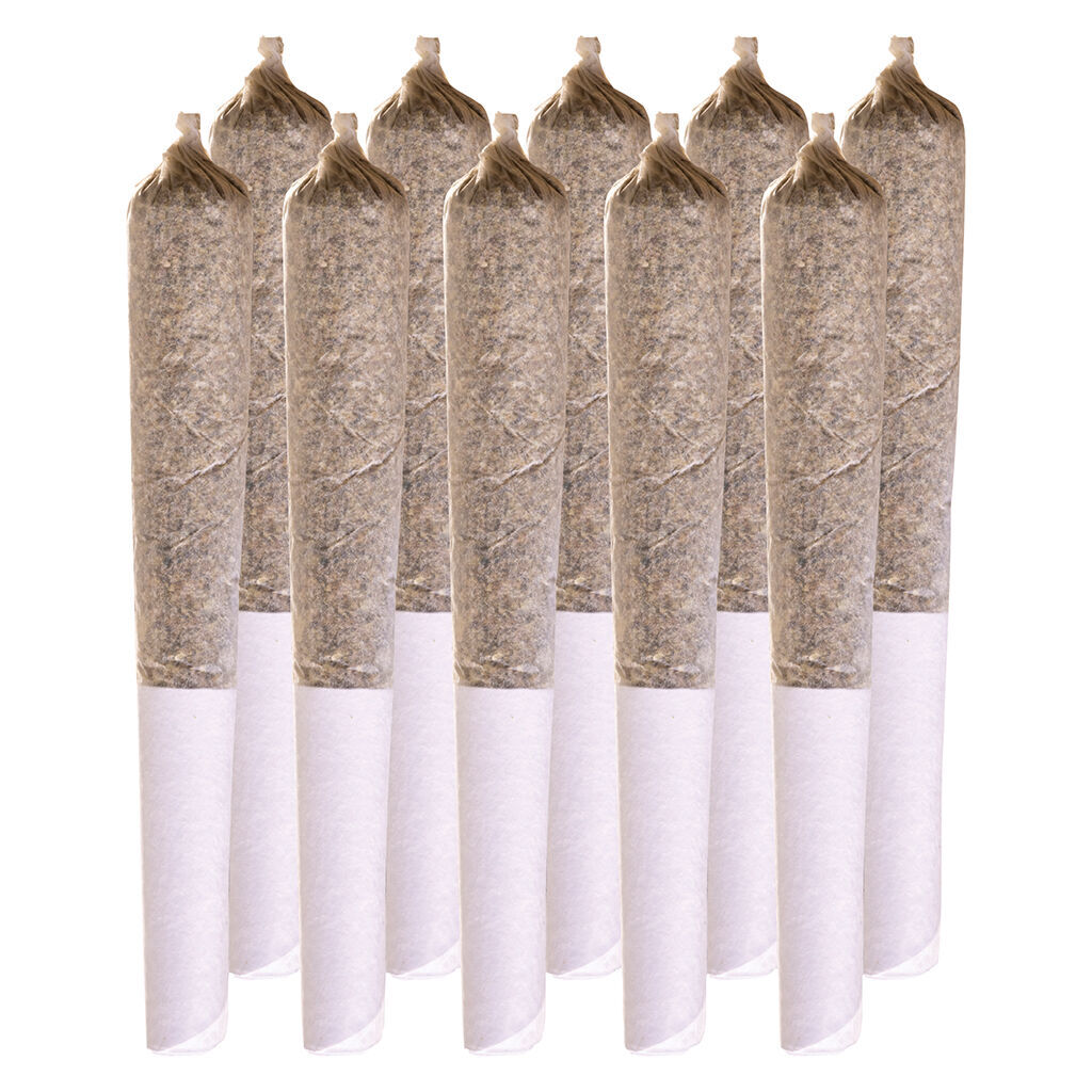 Station House - Rockstar Kush Pre-Roll - Indica - 10x0.5g