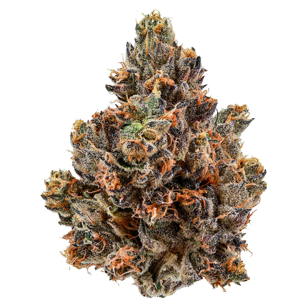 Cheers Cannabis - Polar Blaze