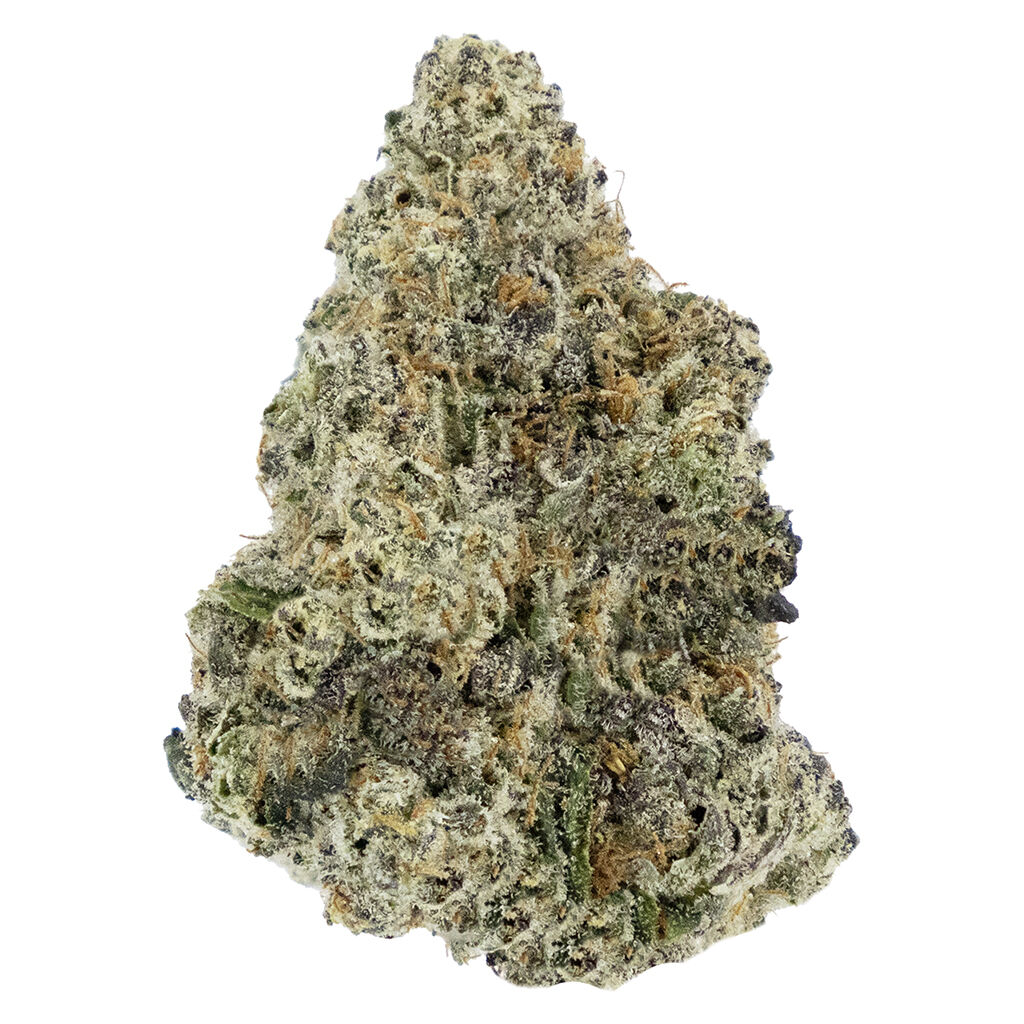 Woody Nelson - Premium Smalls [Rotating]