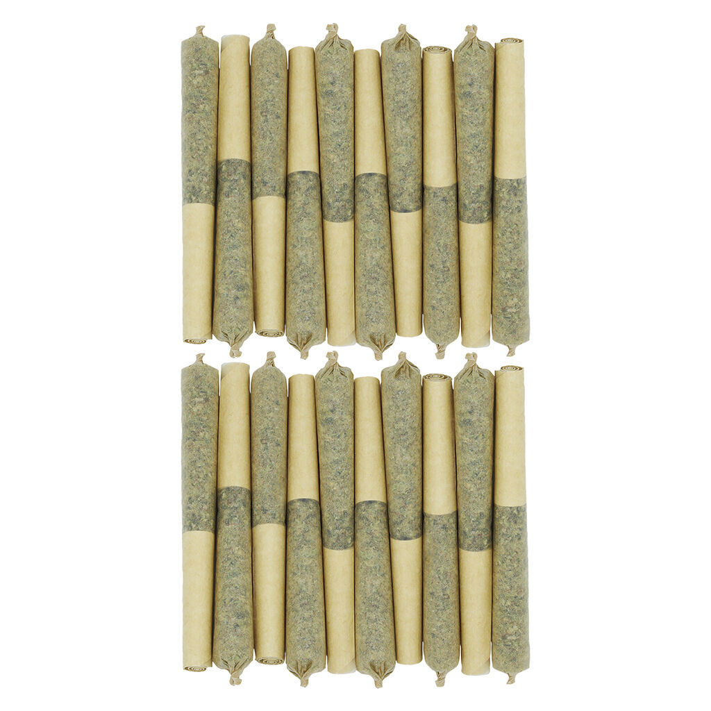 Starting Point! - Star Chase Pre-Roll - Sativa - 20x0.5g