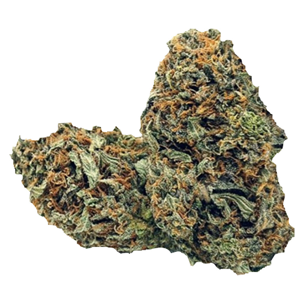 RotoGrown - Twins Super Nova (TSN)