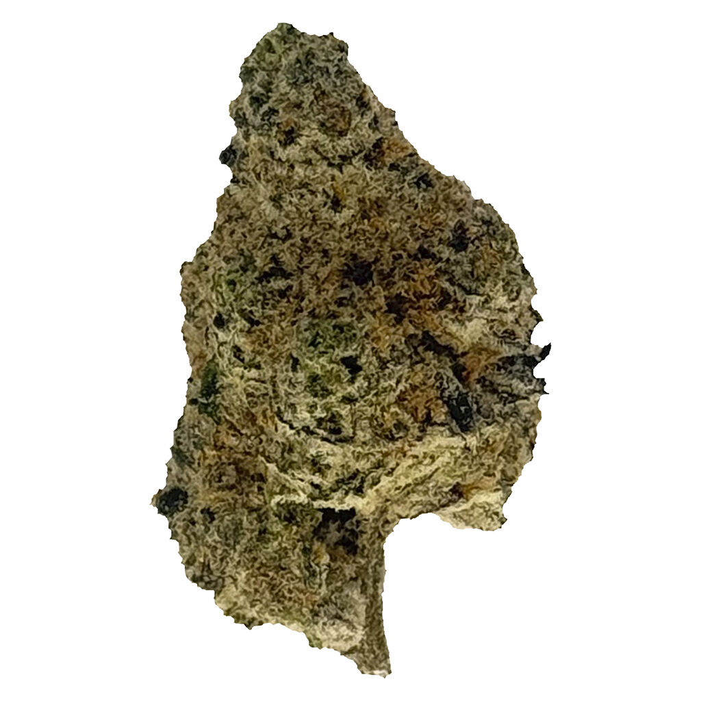 The Oz Store - Nightmare Nugs