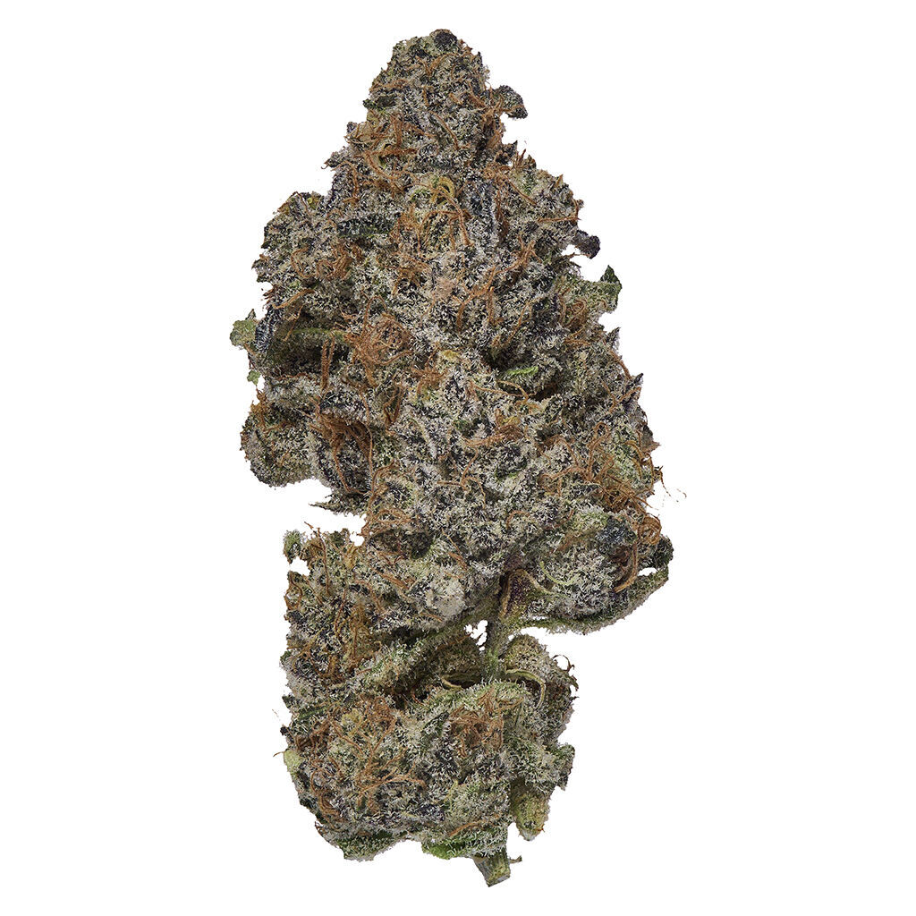 Coterie - Frosted Fruit Cake