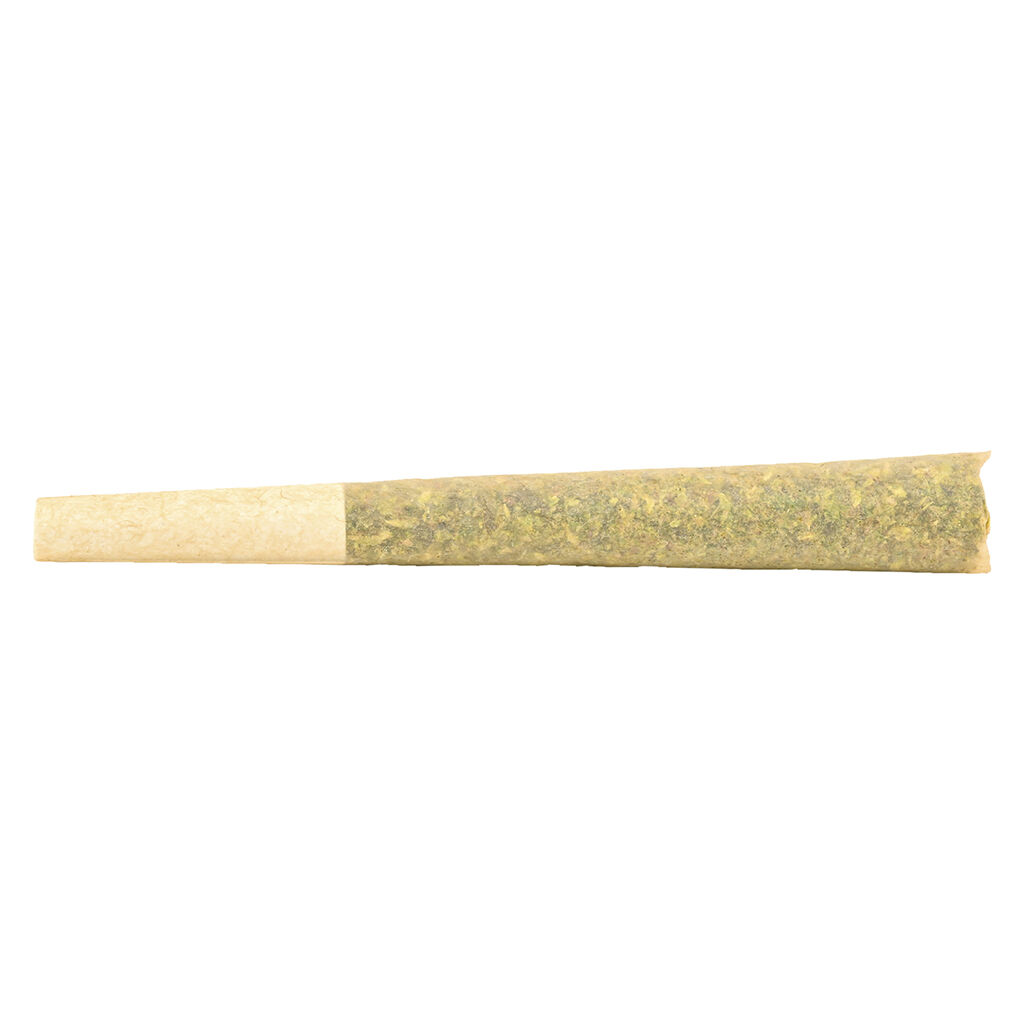 Fern - Mystery Gramr Sativa Pre-Roll - 1x1g