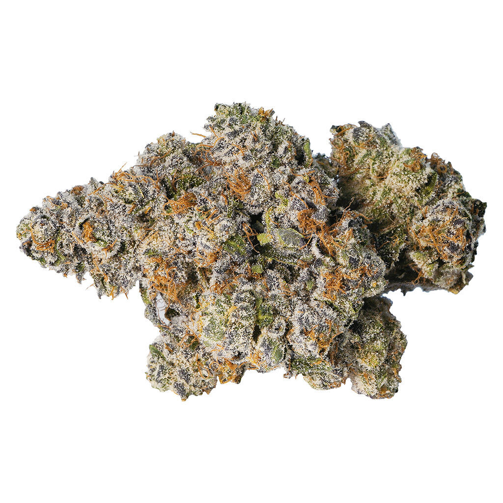 LOT420 - Gelato 33
