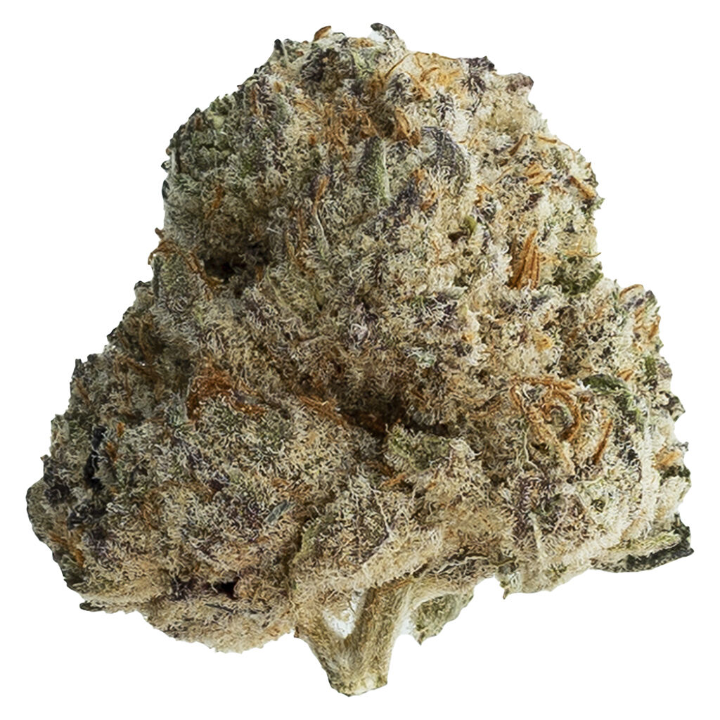 Original Dankster - OPS 28g
