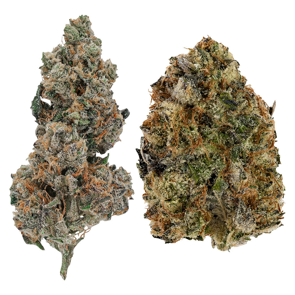 Ghost Drops - Trap Pack 14