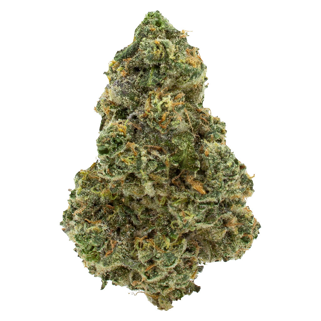 3rd Coast Genetics - Michigan Melonz