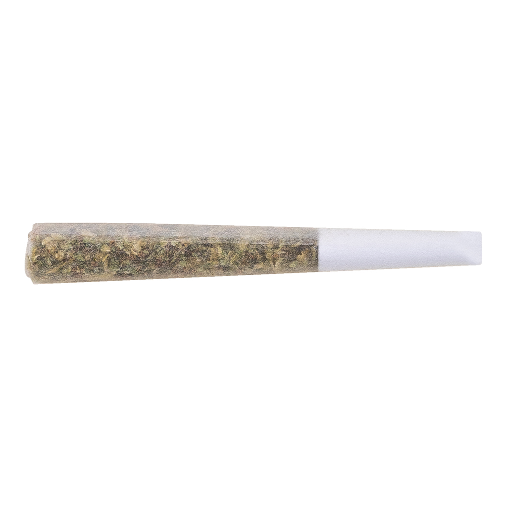 THE LOUD PLUG - GOLD SEAL HASH SNAKE INFUSED PRE-ROLL - THE LOUD PLUG - GOLD SEAL HASH SNAKE INFUSED BLUNT - Indica - 0.5g