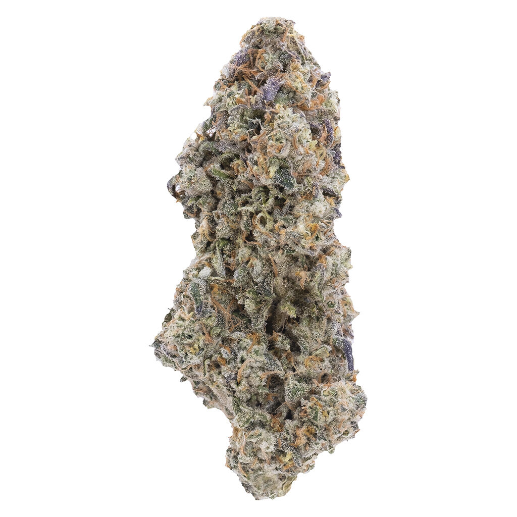 Northern Canna - True Mints