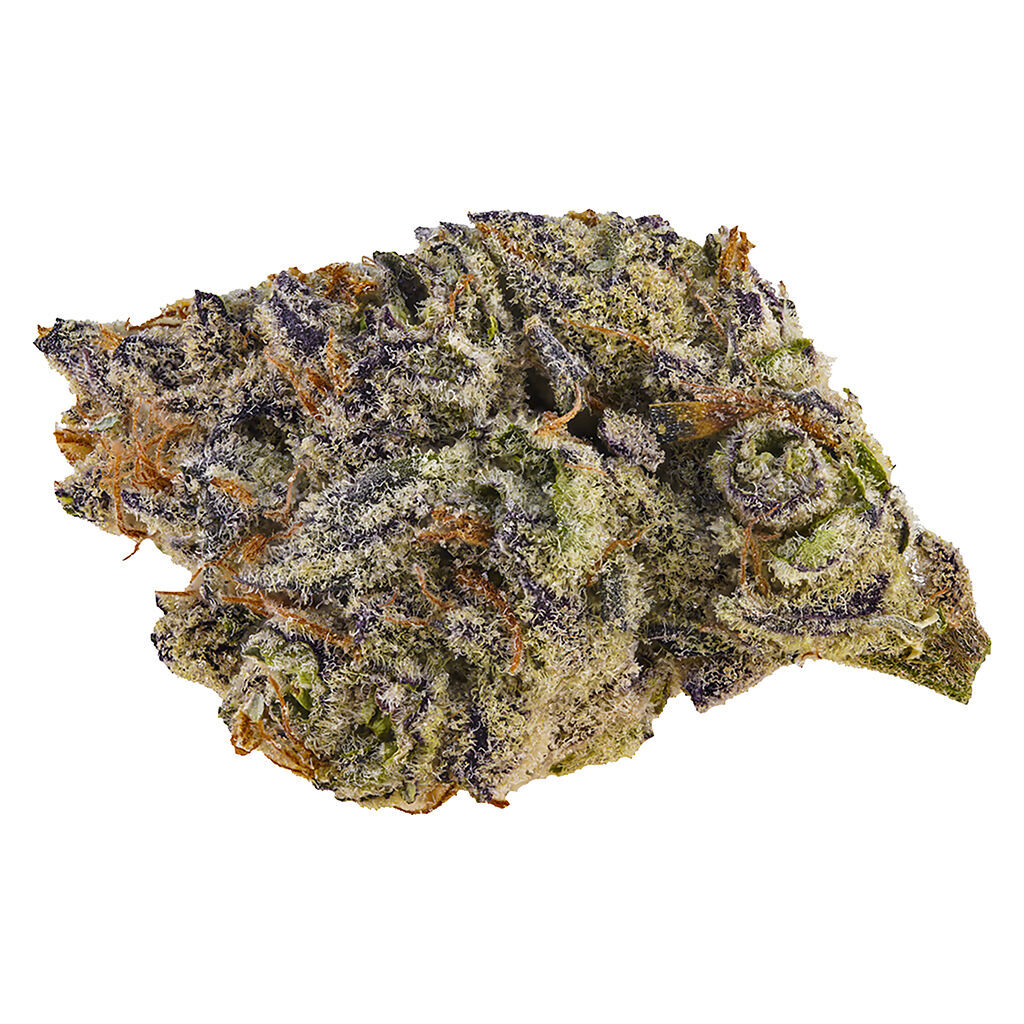 Lowbanks Grow - Catwalk