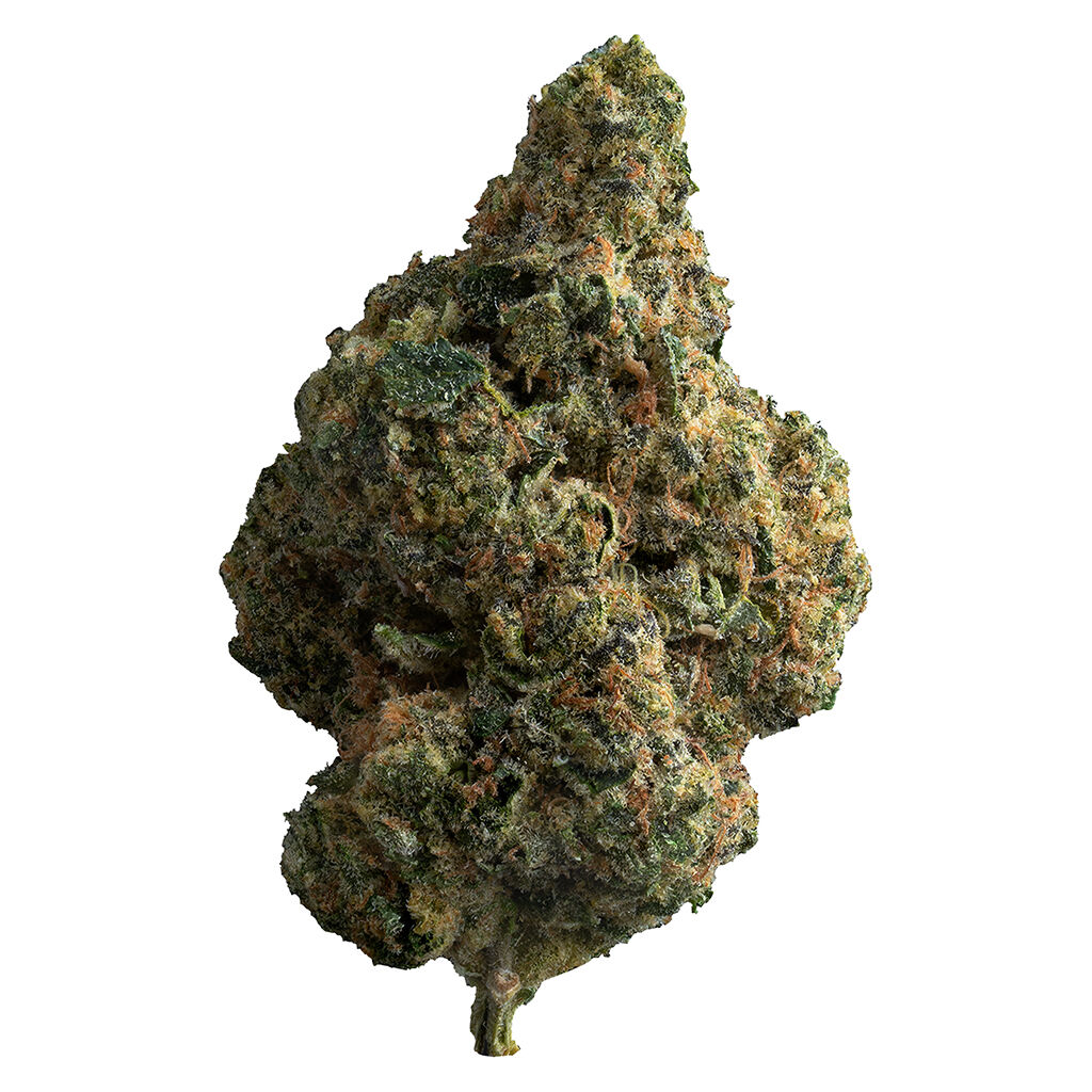 The Loud Plug - LA Pop Cake