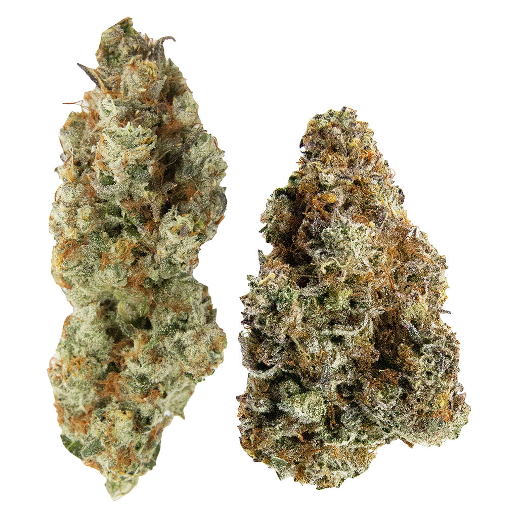 Northern Canna x Ministry of Sativa - Yin Yang