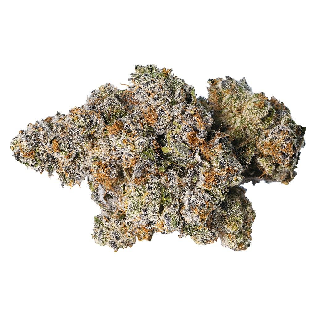 LOT420 - Gelato 33