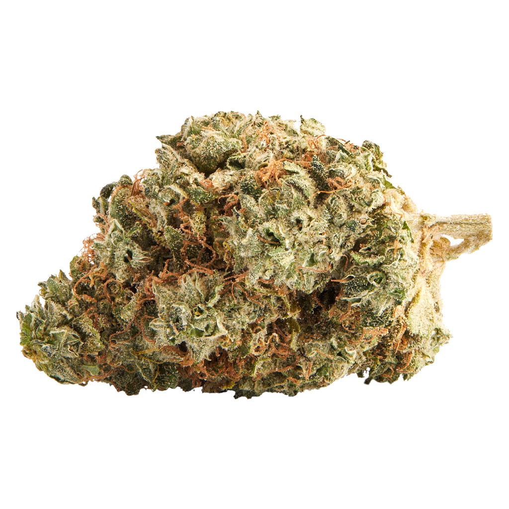 Top Leaf - Northern Lights