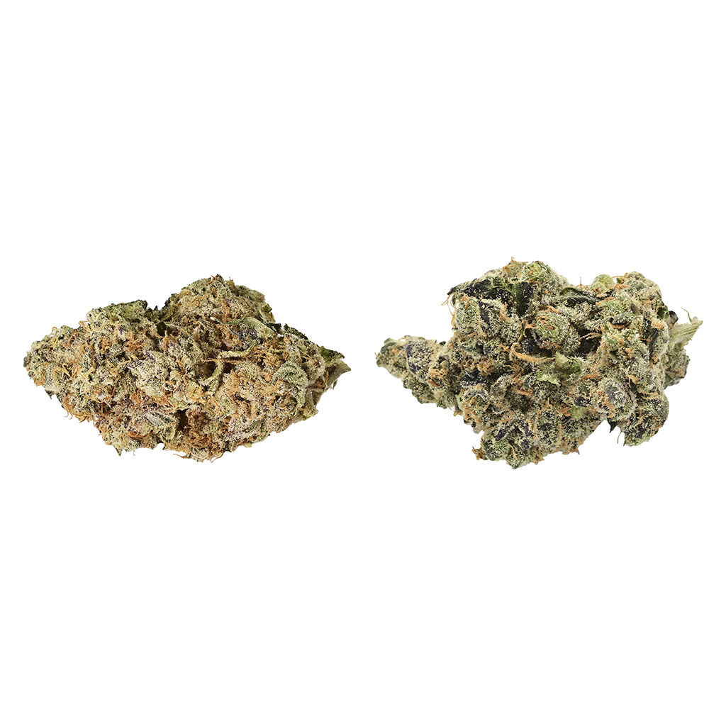 Next Friday - Chameleon Connoisseurs Pack