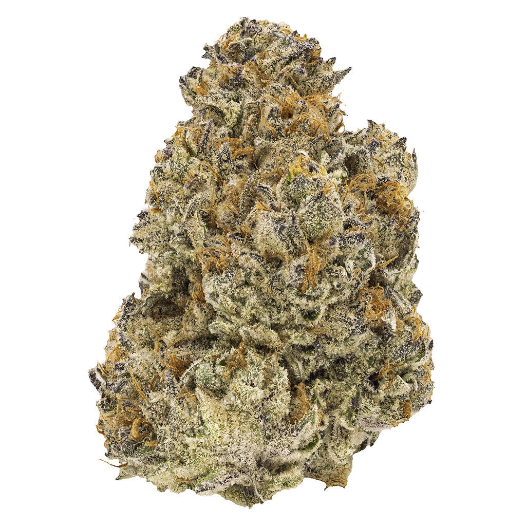 FIGR - Chatty Kathy - Dried Flower