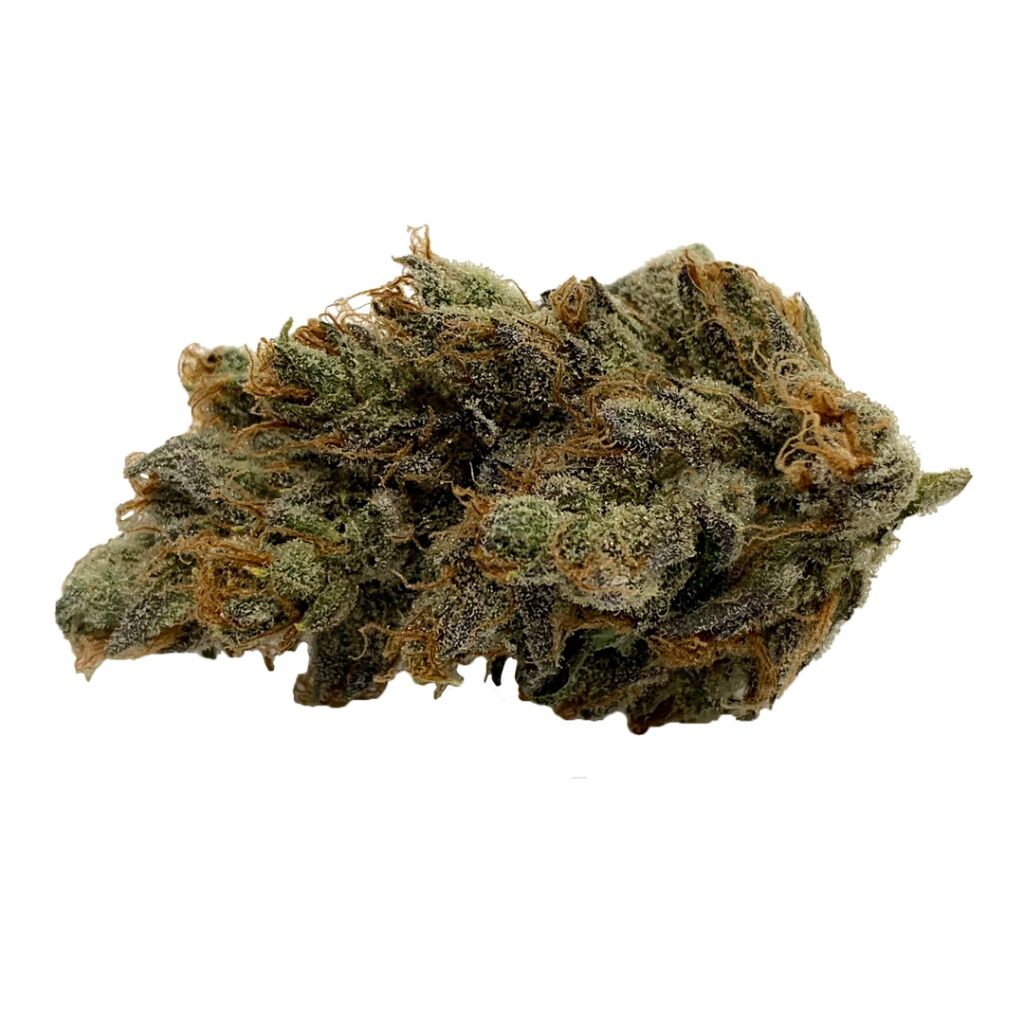 Gage Cannabis Co. - Orange CKS