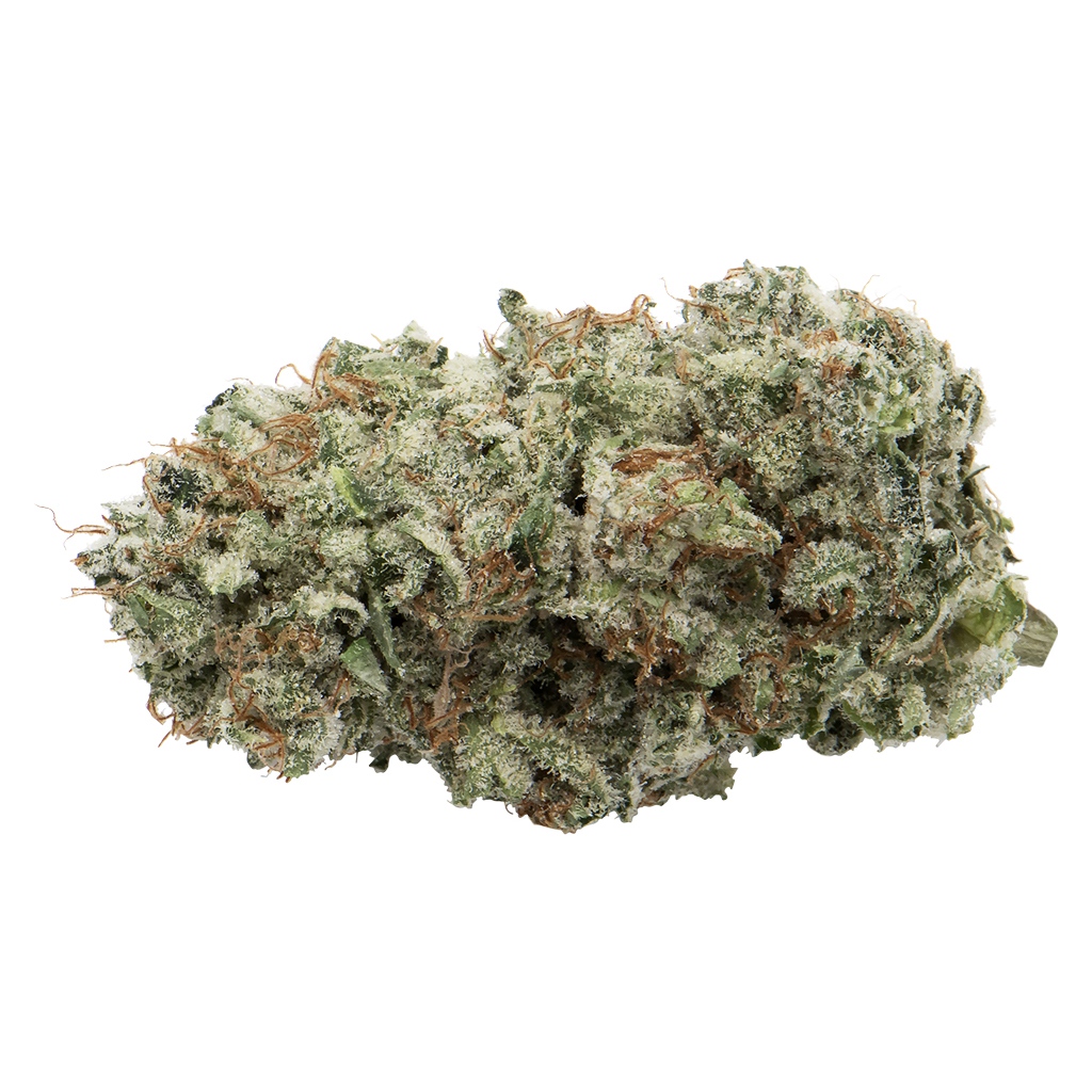 Greybeard - Afghani Drifter