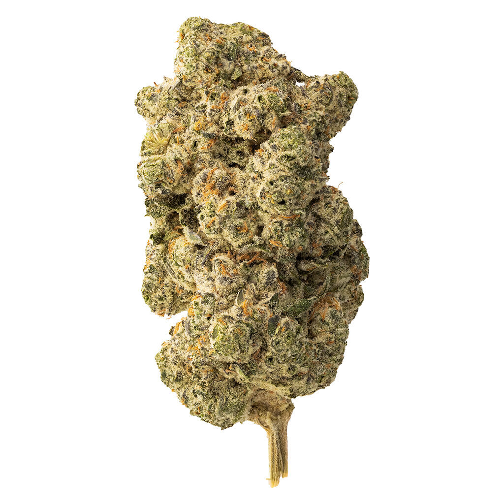 The Loud Plug - Lemon Gelato