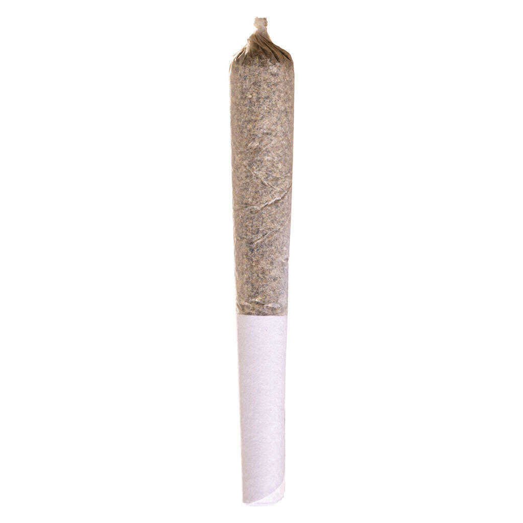 Station House - Amnesia Haze Pre-Roll - Sativa - 1x1g