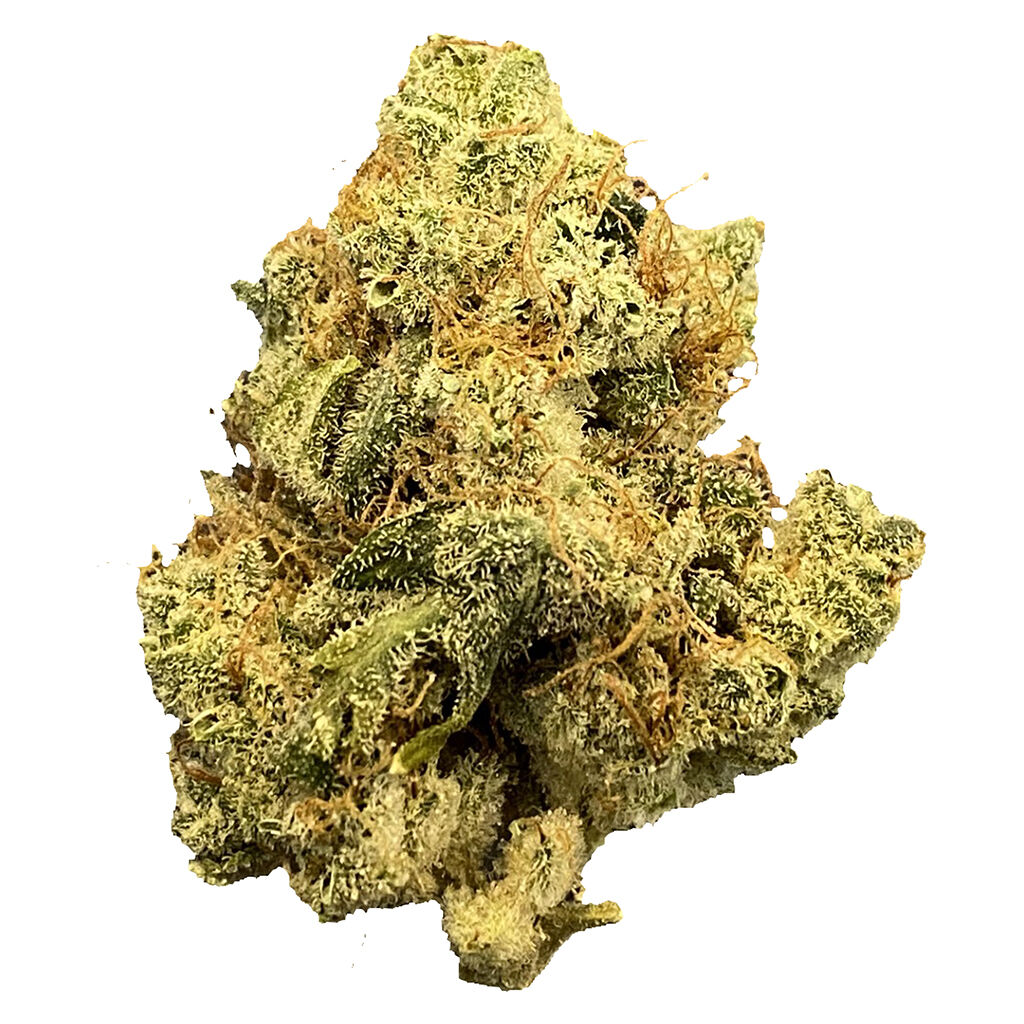 MailMan - Mailman Strain: Ultraviolet Gmo